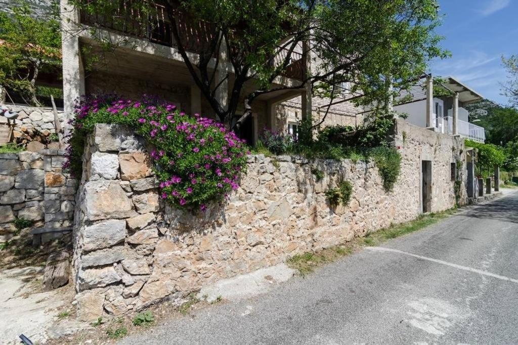 Apartments Felix Babino Polje Екстериор снимка
